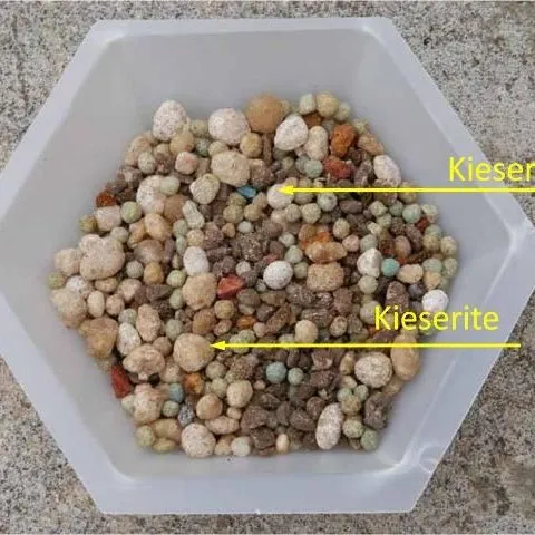 thumbnail for publication: Not All Landscape Palm Fertilizers Are Created Equal